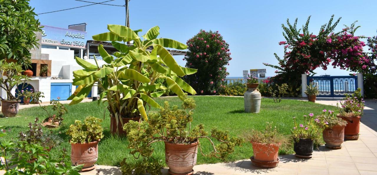 Antonios Apartments Stegna Archangelos  Zewnętrze zdjęcie